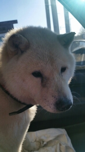 f:id:zion_hamanaka:20151219094042j:image f:id:zion_hamanaka:20151219094042j:image