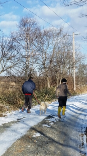 f:id:zion_hamanaka:20151229094346j:image