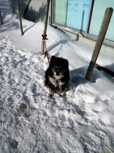 f:id:zion_hamanaka:20151230132023j:image