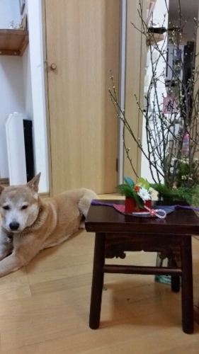 f:id:zion_hamanaka:20160101164017j:image
