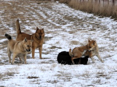 f:id:zion_hamanaka:20160105135949p:image