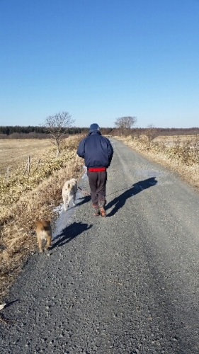 f:id:zion_hamanaka:20160106092438j:image