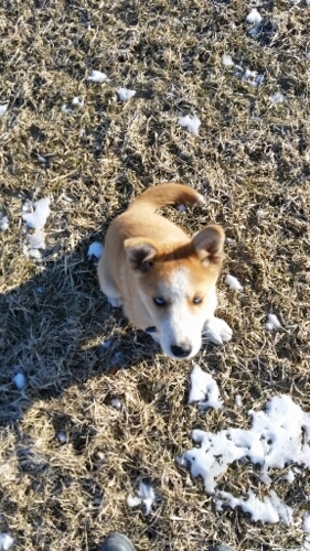 f:id:zion_hamanaka:20160106092530j:image