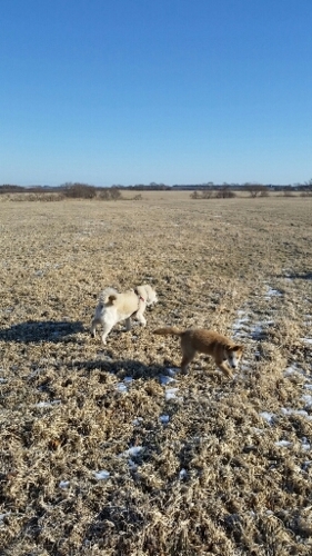 f:id:zion_hamanaka:20160106092633j:image