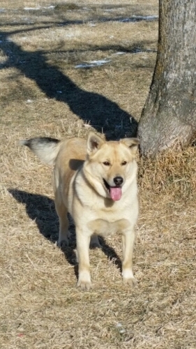 f:id:zion_hamanaka:20160107114458j:image