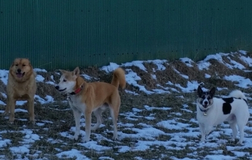 f:id:zion_hamanaka:20160107114716j:image