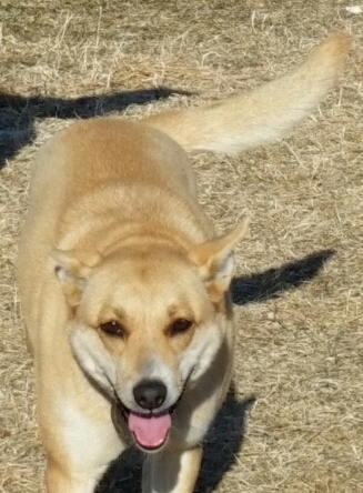 f:id:zion_hamanaka:20160107120222j:image