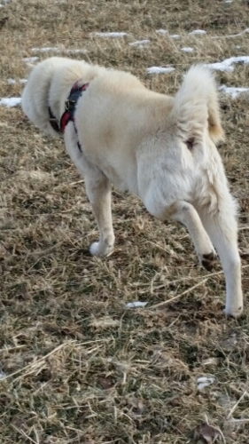 f:id:zion_hamanaka:20160110094632j:image f:id:zion_hamanaka:20160110094632j:image