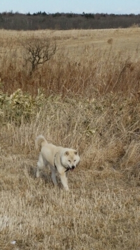 f:id:zion_hamanaka:20160110094907j:image f:id:zion_hamanaka:20160110094907j:image