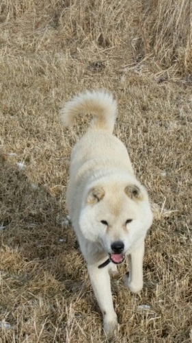 f:id:zion_hamanaka:20160110094916j:image