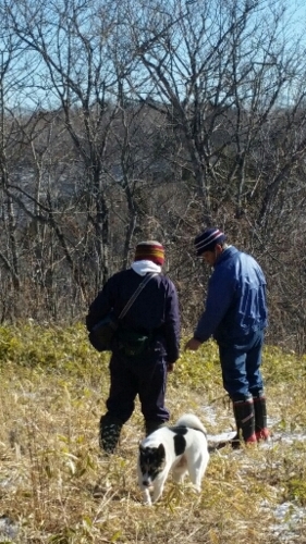 f:id:zion_hamanaka:20160117113337j:image f:id:zion_hamanaka:20160117113337j:image