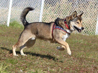 f:id:zion_hamanaka:20160121164911j:image f:id:zion_hamanaka:20160121164911j:image