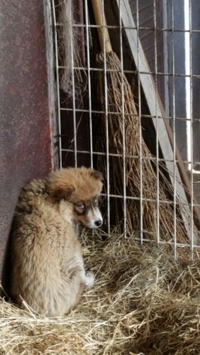 f:id:zion_hamanaka:20160128130448j:image