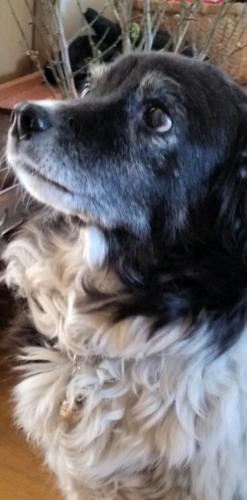 f:id:zion_hamanaka:20160206105102j:image f:id:zion_hamanaka:20160206105102j:image