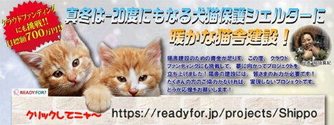 f:id:zion_hamanaka:20160207002644j:image