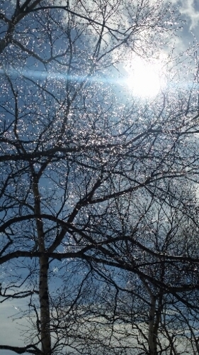 f:id:zion_hamanaka:20160215124528j:image