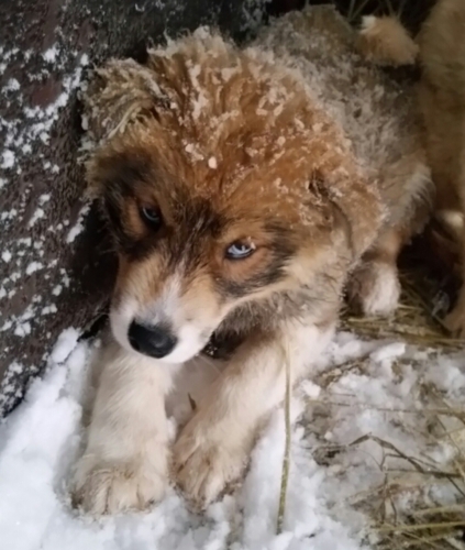 f:id:zion_hamanaka:20160229154803j:image