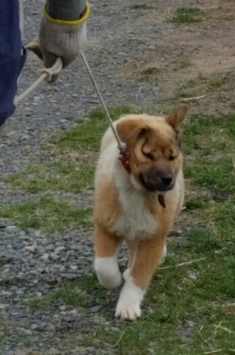 f:id:zion_hamanaka:20160510090948j:image