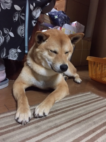 f:id:zion_hamanaka:20160607203500j:image