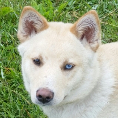 f:id:zion_hamanaka:20160619090242j:image