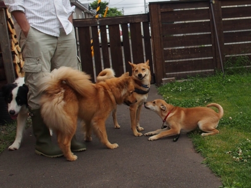 f:id:zion_hamanaka:20160724010149j:image