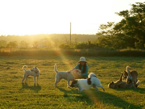 f:id:zion_hamanaka:20160801011702j:image