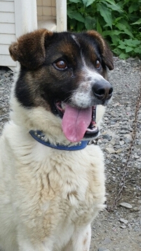 f:id:zion_hamanaka:20160803135914j:image