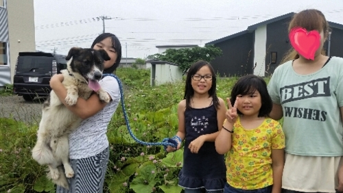 f:id:zion_hamanaka:20160803141902j:image