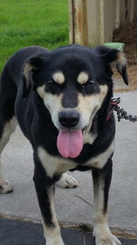 f:id:zion_hamanaka:20160814144251j:image f:id:zion_hamanaka:20160814144251j:image