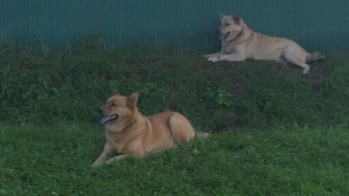 f:id:zion_hamanaka:20160915135008j:image