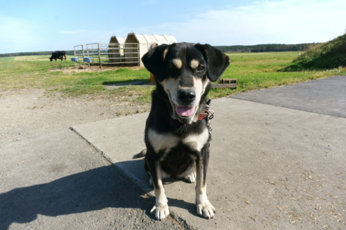 f:id:zion_hamanaka:20161002133909j:image f:id:zion_hamanaka:20161002133909j:image