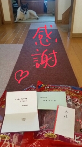 f:id:zion_hamanaka:20161003235849j:image