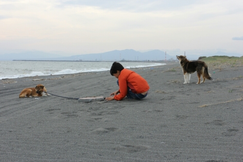 f:id:zion_hamanaka:20161004104310j:image