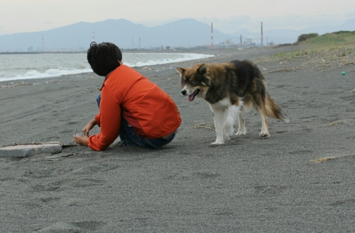 f:id:zion_hamanaka:20161004104323j:image