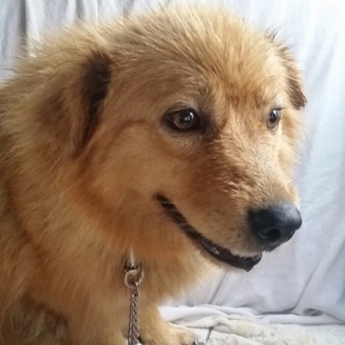 f:id:zion_hamanaka:20161006123124j:image