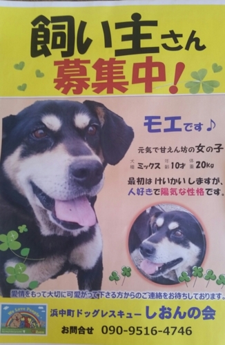 f:id:zion_hamanaka:20161010232721j:image f:id:zion_hamanaka:20161010232721j:image