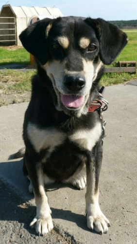 f:id:zion_hamanaka:20161011002255j:image f:id:zion_hamanaka:20161011002255j:image