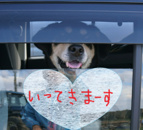 f:id:zion_hamanaka:20161014133038p:image