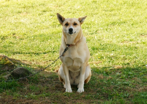 f:id:zion_hamanaka:20161018141421j:image f:id:zion_hamanaka:20161018141421j:image