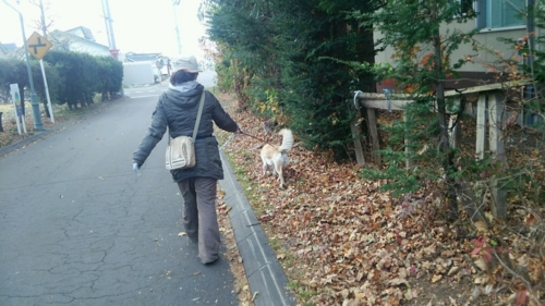 f:id:zion_hamanaka:20161028233626j:image