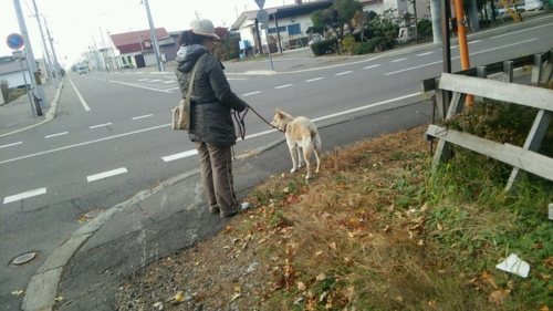 f:id:zion_hamanaka:20161028233630j:image