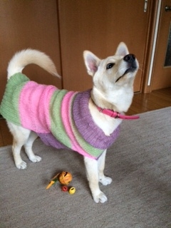 f:id:zion_hamanaka:20161031152012j:image