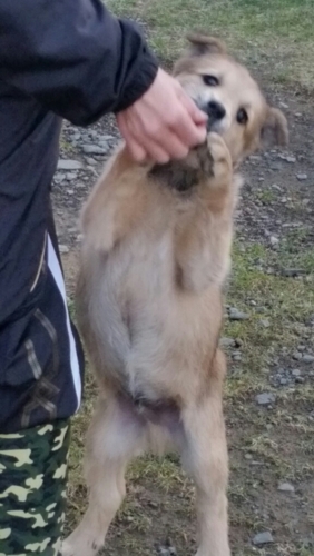 f:id:zion_hamanaka:20161102193421j:image f:id:zion_hamanaka:20161102193421j:image