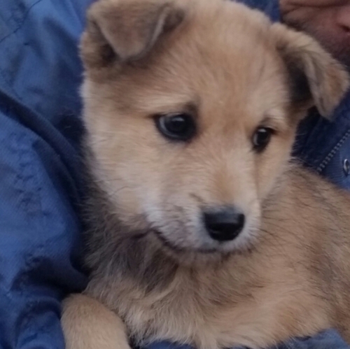 f:id:zion_hamanaka:20161104220037j:image