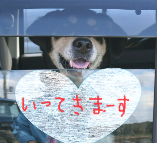 f:id:zion_hamanaka:20161116111518p:image f:id:zion_hamanaka:20161116111518p:image