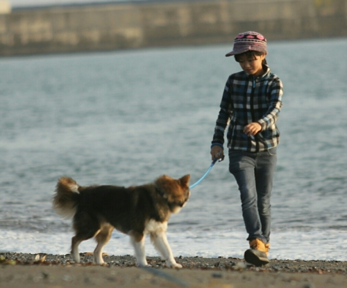 f:id:zion_hamanaka:20161120135827j:image