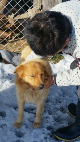 f:id:zion_hamanaka:20161210140514j:image f:id:zion_hamanaka:20161210140514j:image
