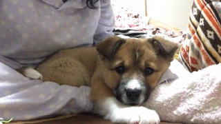 f:id:zion_hamanaka:20161213081529j:image f:id:zion_hamanaka:20161213081529j:image