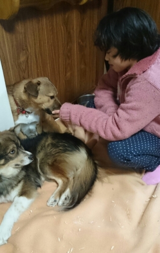 f:id:zion_hamanaka:20161216230900j:image