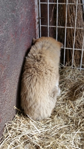 f:id:zion_hamanaka:20161216233915j:image